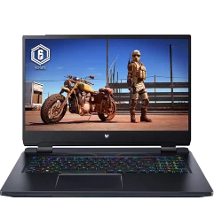Acer Predator Helios 300 17.3" Intel i7-11th Gen laptop