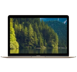 Apple Macbook 10,1 12-inch Mid 2017 - 1.4 GHz Core i7 256GB