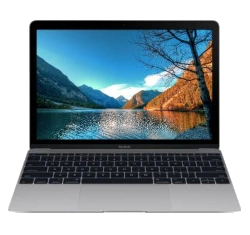 Apple MacBook 10,1 2017 12" A1534 MNYF2LL/A 1.2 GHz Core M3 256GB SSD