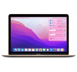 Apple MacBook 10,1 2017 12" A1534 MNYK2LL/A 1.2 GHz Core M3 256GB SSD laptop