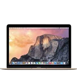 Apple MacBook 8,1 2015 12" A1534 MJY32LL/A, MF855LL/A 1.1 GHz Core M 256GB SSD
