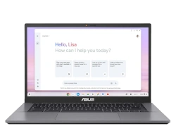 Asus Chromebook Plus CX34 14" Intel Core i3-13th Gen laptop