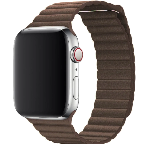 Apple Watch 42mm SS Light Brown Leather Loop MJ402LL/A watch