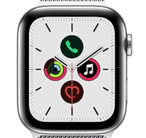 Apple Watch Series 5 44mm SS Milanese Loop GPS Cellular watch